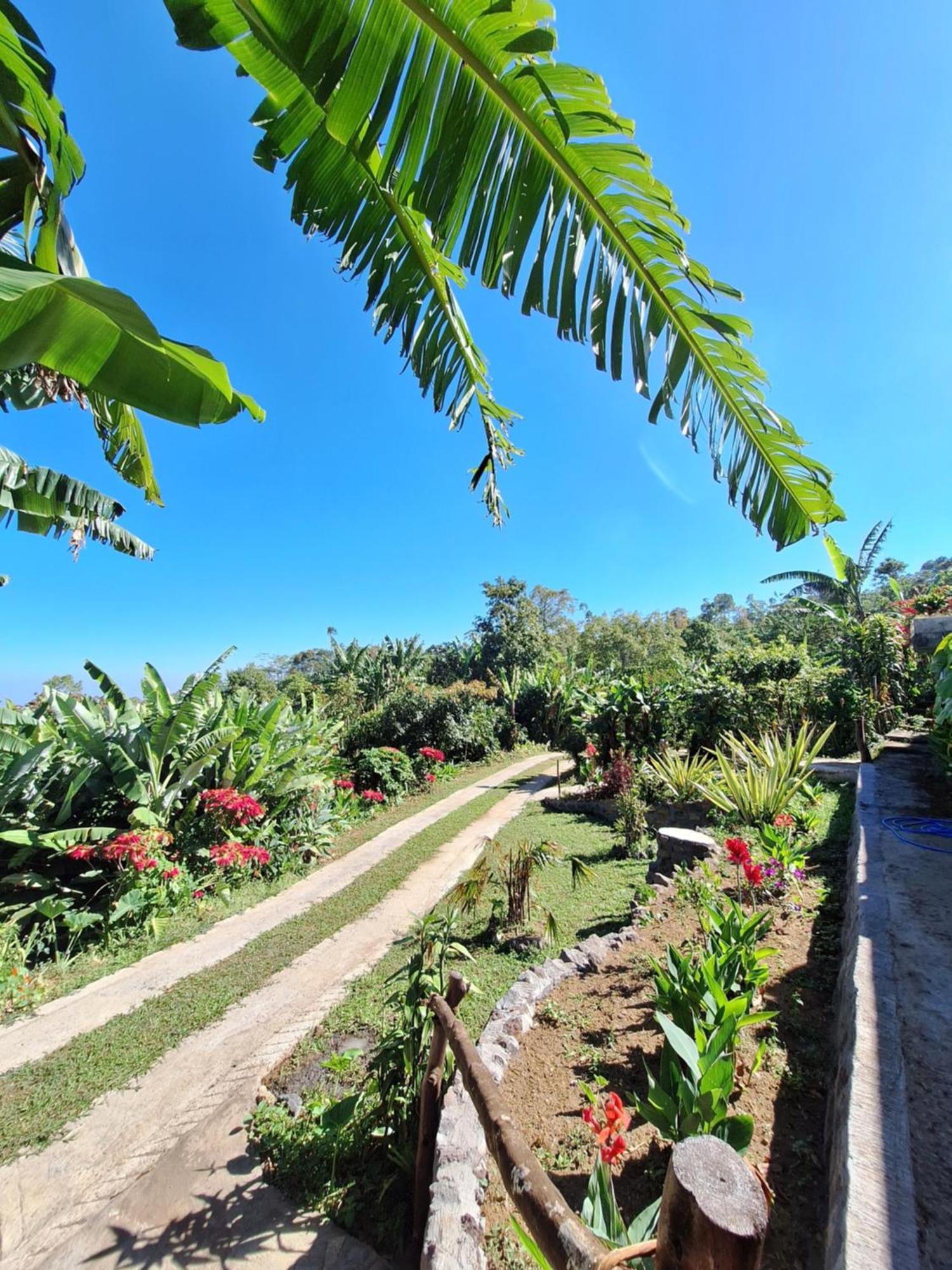 Manigelang Villa Munduk Exteriér fotografie